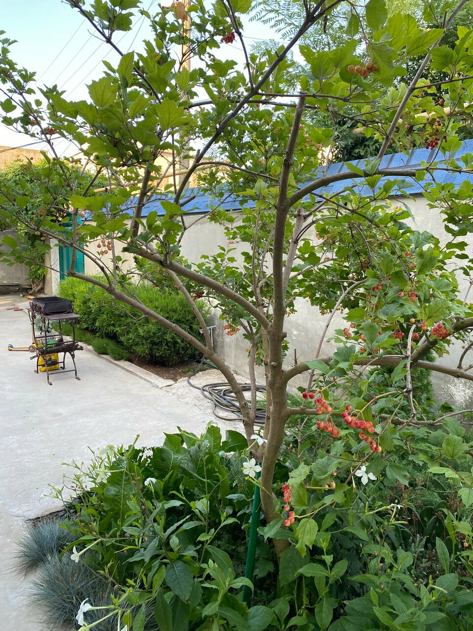 Гостевой дом Пани Яроцька Евпатория-49